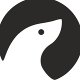 Telegram profile photo for NORPPA