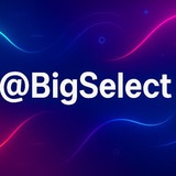 Telegram profile photo for Big Select