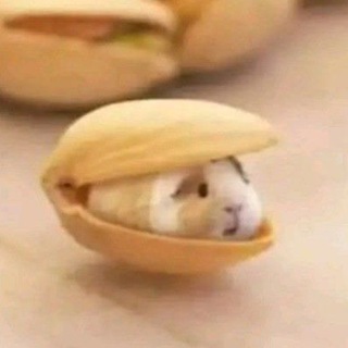 Telegram profile photo for keksas