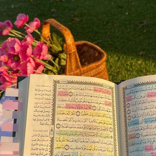 Telegram profile photo for أمان الخائفين🤍.