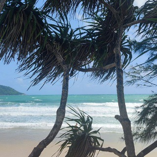 Telegram profile photo for Пхукет Ката-Карон-Патонг🌴