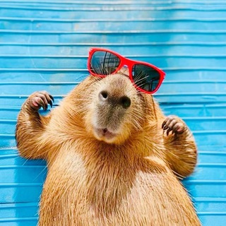 Telegram profile photo for IQ юмора | Мемы 🤓