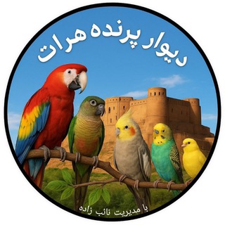 Telegram profile photo for دیوار پرنده هرات افغانستان