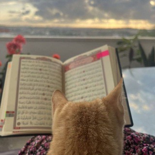 Telegram profile photo for لأرواحِهم.