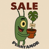 Telegram profile photo for PlantAmor sale