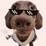 Telegram profile photo for ВИРТУАЛЬНЫЙ ЛЧ
