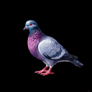 Telegram profile photo for Голубь на Фрилансе. Удаленная работа. Вакансии