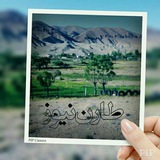 Telegram profile photo for طارن نیوز