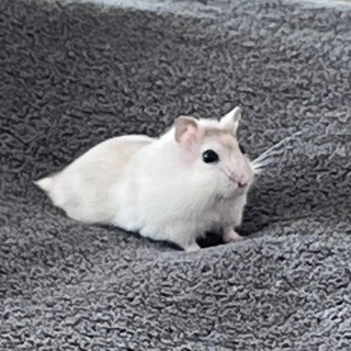 Telegram profile photo for Настя