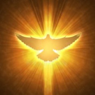 Telegram profile photo for 机场节点订阅群