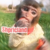 Telegram profile photo for Info shpricland