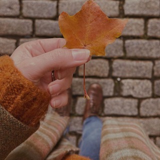 Telegram profile photo for أيـلول🍁