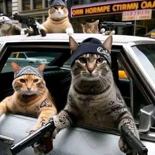 Telegram profile photo for MeowersGroup