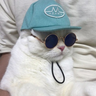 Telegram profile photo for Это neho4u