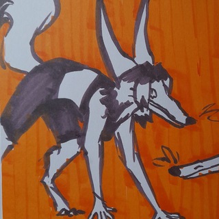 Telegram profile photo for • ° светская собака Рис ° •