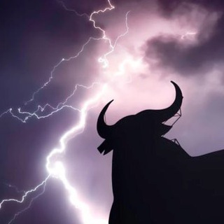 Telegram profile photo for BOLT NEWS PRIME