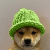 Telegram profile photo for Solana for Chads | Pump.fun Calls