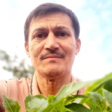Telegram profile photo for Рассада и Цветы: Мастерская Радика