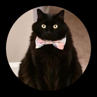 Telegram profile photo for f3 market