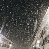 Telegram profile photo for Мудбордище