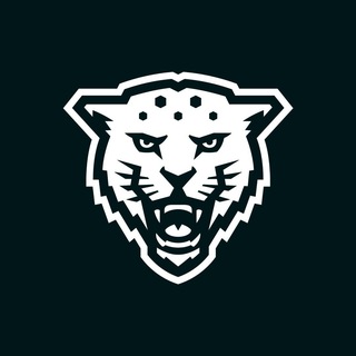 Telegram profile photo for Гонки дронов | Кронверкские барсы | ИТМО