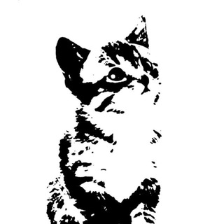 Telegram profile photo for Avortep