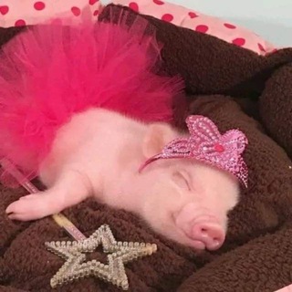 Telegram profile photo for акиончик батончик