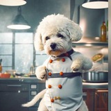Telegram profile photo for DA集团-菲律宾/迪拜/泰国/斯里兰卡/柬埔寨