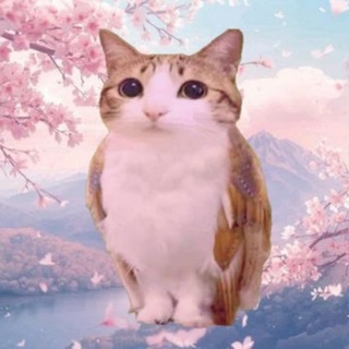 Telegram profile photo for β¨π’π±π±π’π©π¨ππ°π±π’π«