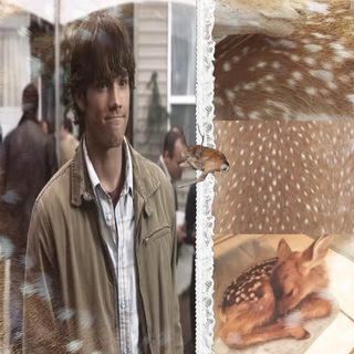 Telegram profile photo for ###