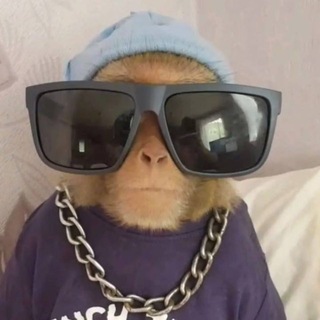 Telegram profile photo for Круги Смеха