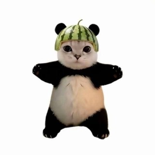 Telegram group profile photo for 封号查档交流群