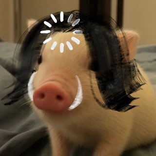 Telegram profile photo for Кабанюшня