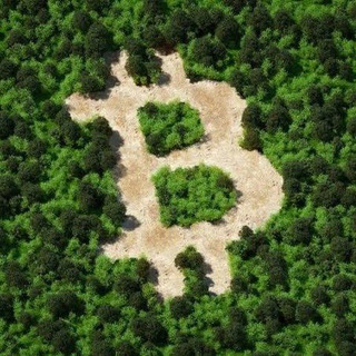 Telegram profile photo for Update Bitcoin & Altcoin ~ Andre Greystone Channel