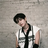Telegram profile photo for переезд | nao's bubble
