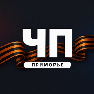 Telegram profile photo for ЧП Приморье