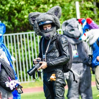 Telegram profile photo for FotoDarkWolf