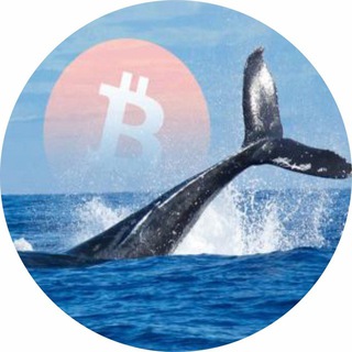 Telegram profile photo for Ape Whales | Calls