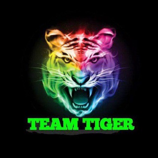Telegram profile photo for TEAM TIGER