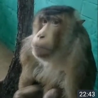 Telegram group profile photo for Чат МИНЕРАЛКИ