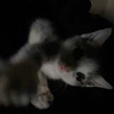 Telegram profile photo for hw ann