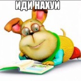 Telegram profile photo for hedr1k