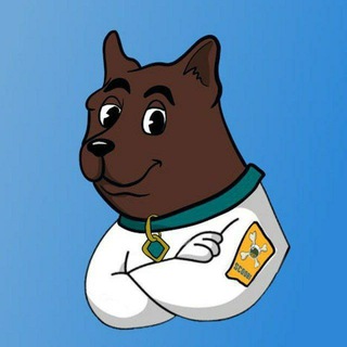 Telegram group profile photo for Scoobi-Doge