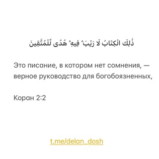 Telegram profile photo for Делан Дош