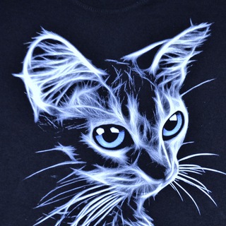 Telegram profile photo for Аргориец 😺