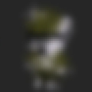 Telegram profile photo for Thanks, David