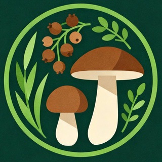 Telegram group profile photo for Грибы Ягоды Травы России — Торговля и Заготовка