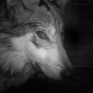Telegram profile photo for бубу