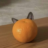 Telegram profile photo for 🍊Контора Мандаринов🌭