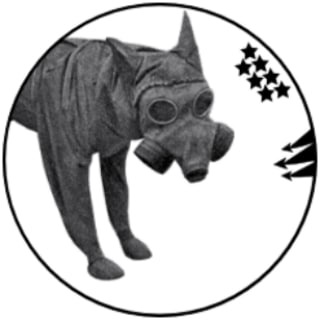 Telegram profile photo for Колтушский котёл